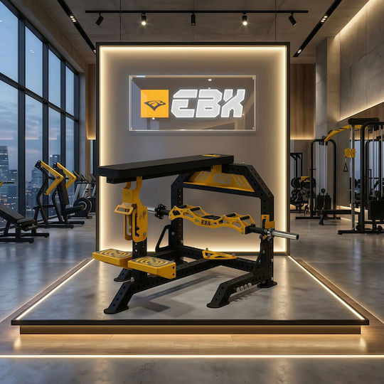 eBoxing Prone Row Pro The Lat Forge Mehrfachturnhalle Ohne Gewichte