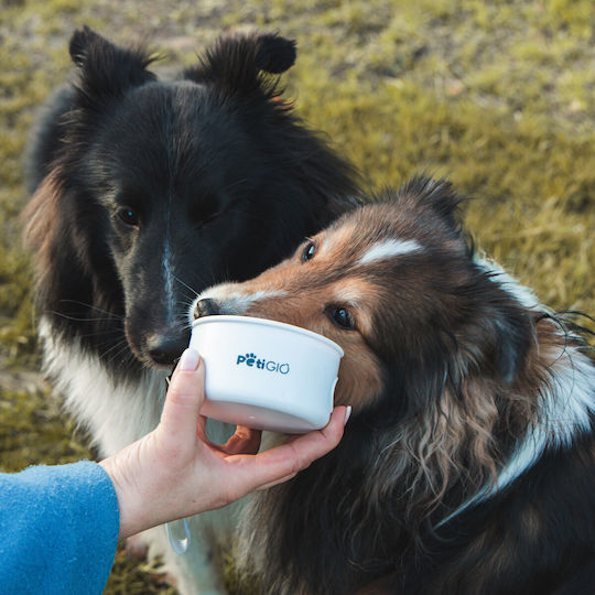 Petigio Futter-Schale für Hund Silikon