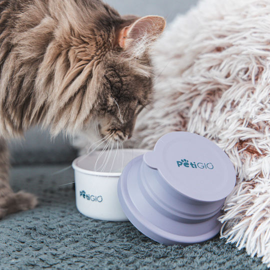 Petigio Futter-Schale für Hund Silikon