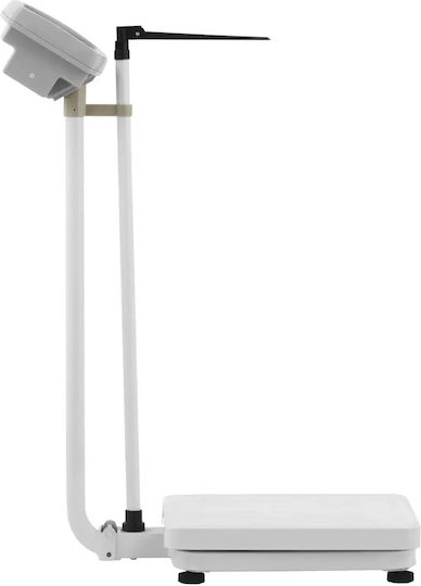 Steinberg Systems Electronic Platform Scale with Column with Weighing Capacity 200kg
