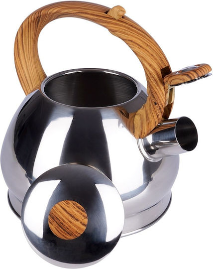 Orion Professional Water Kettle With Capacity 1.8lt