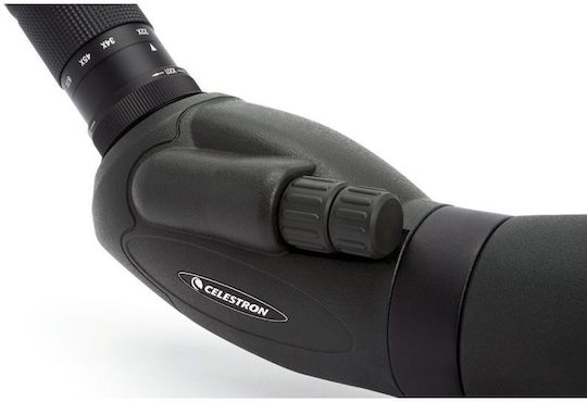 Celestron Scope