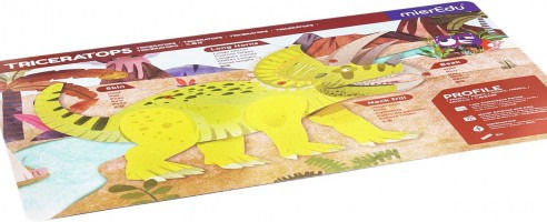 Mieredu Magnetic Construction Toy
