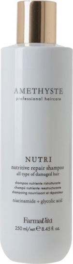 Farmavita Amethyste Nutri Strengthening Shampoo Damaged Hair Capacity Ml 250