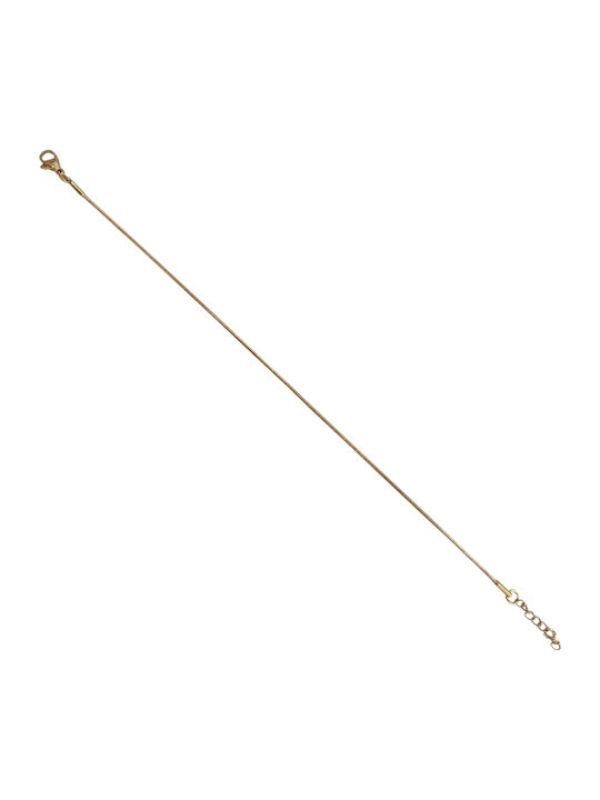 Kalliopi Silver Lanț de Gleznă Placat cu Aur din Oțel 20cm HBM-5004