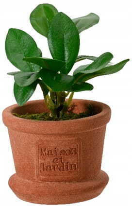 Artificial Plant In A Decorative Pot 8x17cm Green Decorative Artificial Plant In A Decorative Pot 8x17cm Green Decorative