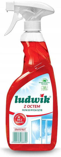 Ludwik Επαγγελματικό Καθαριστικό Υγρό Τζαμιών 600ml