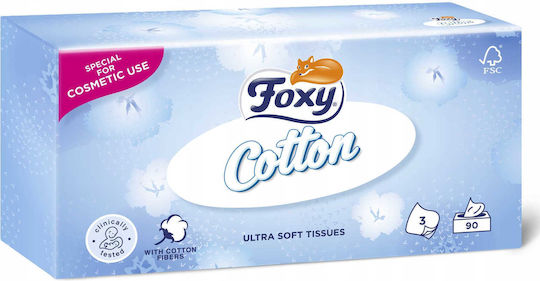 Foxy 12 Boxes Tissues (90pcs/Box)