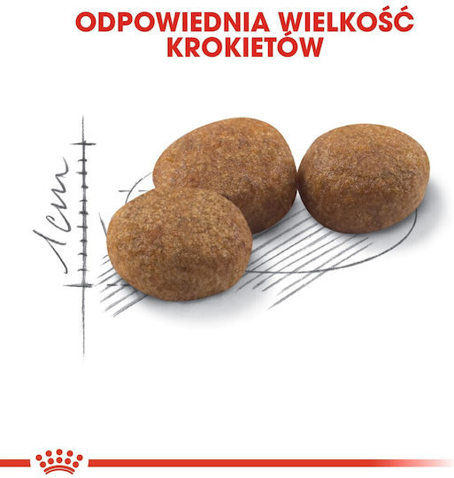 Royal Canin Regular Sterilised 37 Ξηρά Τροφή για Ενήλικες Στειρωμένες Γάτες με Πουλερικά 4kg