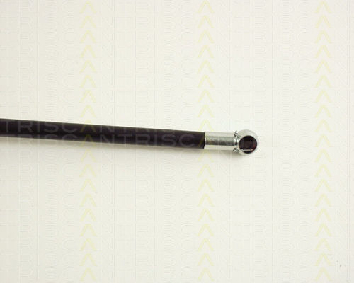 Triscan 8710 50225 Trunk Shock Absorber