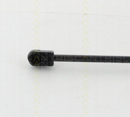 Triscan 8710 16262 Trunk Shock Absorber
