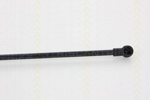 Triscan 8710 28237 Trunk Shock Absorber