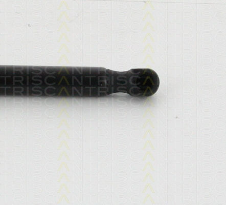 Triscan 8710 16262 Trunk Shock Absorber