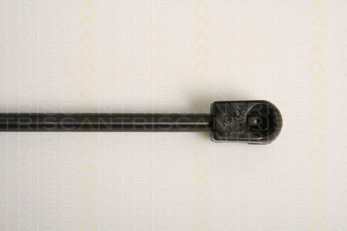 Triscan 8710 16253 Trunk Shock Absorber