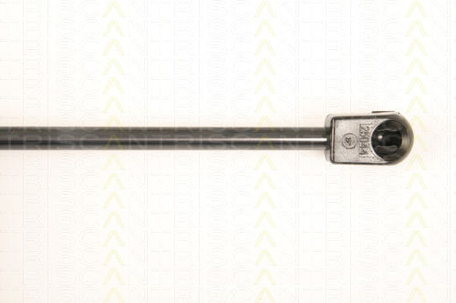 Triscan 8710 66204 Trunk Shock Absorber