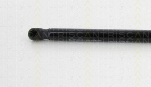Triscan 8710 38234 Trunk Shock Absorber