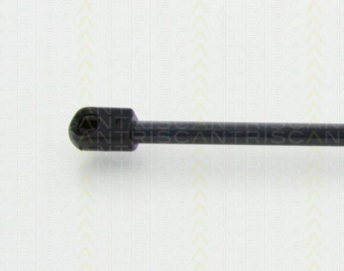 Triscan 8710 80214 Trunk Shock Absorber