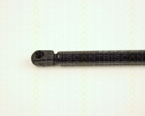 Triscan 8710 28202 Trunk Shock Absorber