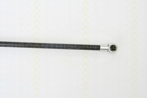 Triscan 8710 67205 Trunk Shock Absorber