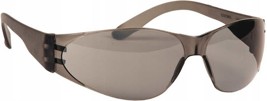 Protective Glasses Steel Gray Mcr-checklite-ss