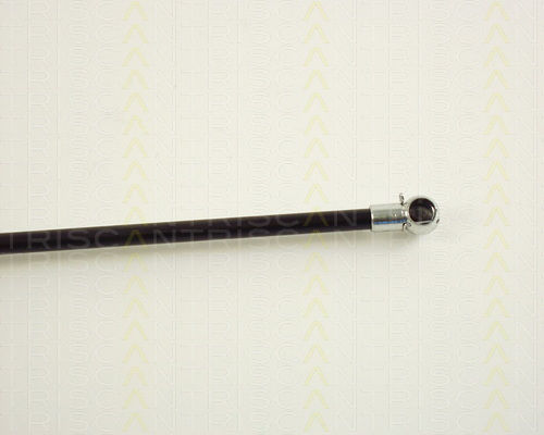 Triscan 8710 29227 Trunk Shock Absorber