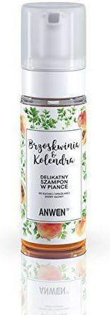 Anwen Foam Shampoo Dry Sensitive Scalp Peach & Coriander 170ml