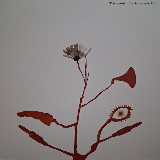 Trichromi* Boy 6 Βγαίνουν Μέσα Τη Μάργκο Vinyl