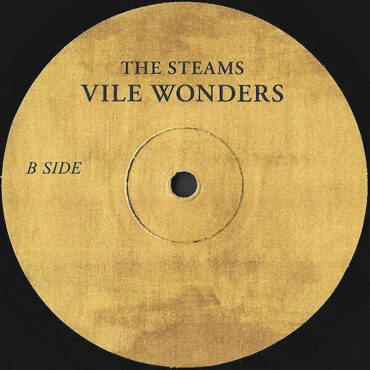 Steams Vile Wonders Vinyl