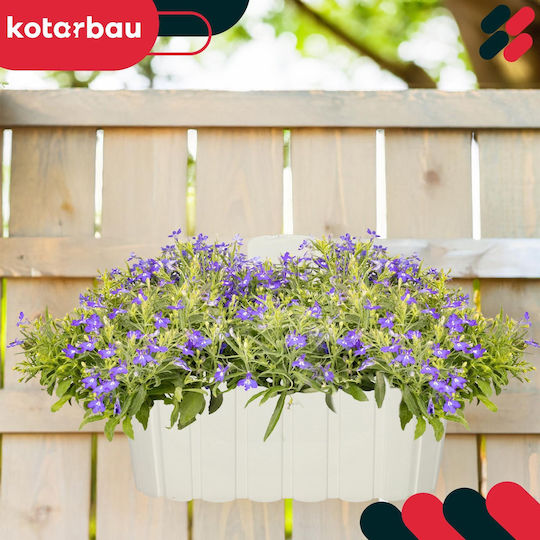 Kotarbau Γλάστρα Πλαστική Rustic White Kotarbau Γλάστρα Πλαστική Rustic White