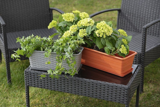 Galicja Kunststoff Blumentopf Terrakotta Galicja Kunststoff Blumentopf Terrakotta