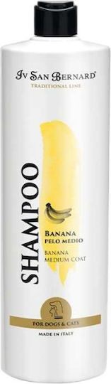 Iv San Bernard Bananen-Shampoo 500ml