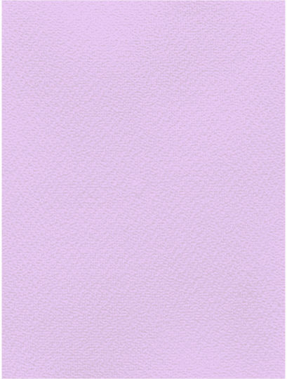 Favini Carton 70x100cm 220g Nr24 Lila