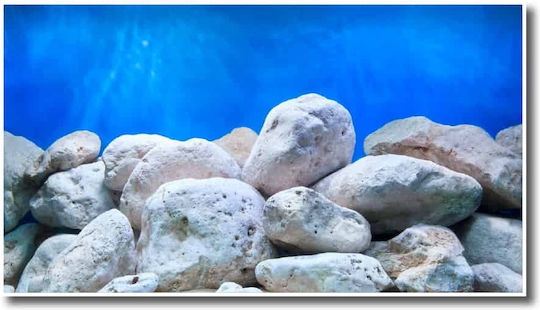 Amtra Aquarium Dekoration Poster