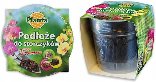 Orchid Soil Set A 1.1 L Pot