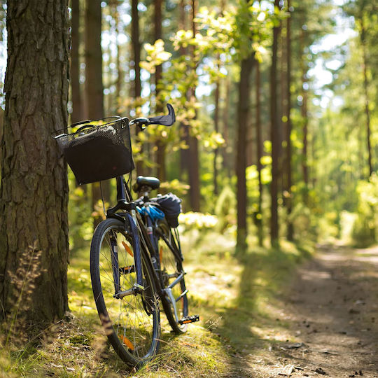 Set 2 Mânere Ergonomice Pentru Ghidon De Bicicletă