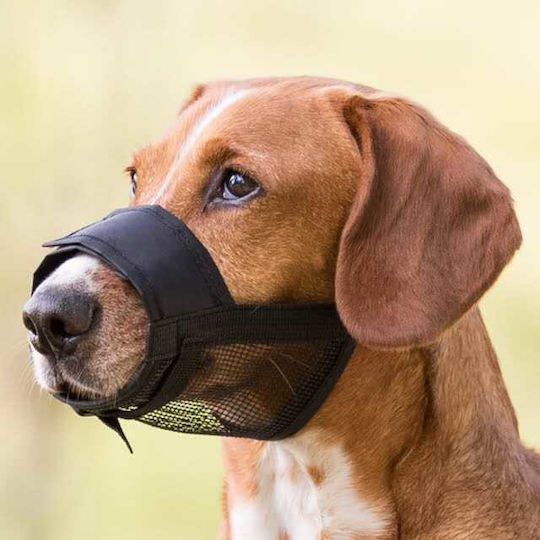 Trixie Nylon Mesh Muzzle Small Black