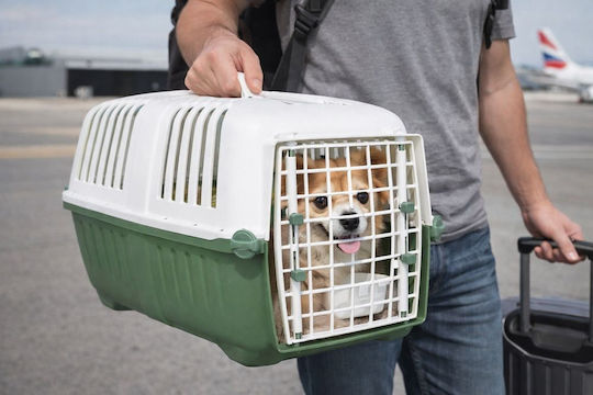 Glee Green Dog Transport Cage 47x31x31.8cm