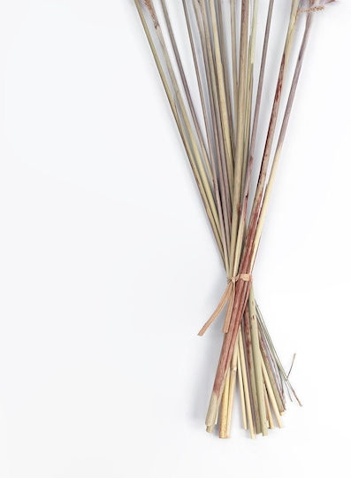 Globostar Artificial Decorative Dried Brown Pampas Grass Bouquet Y50cm Set of 15 Pieces 21215 Globostar Artificial Decorative Dried Brown Pampas Grass Bouquet Y50cm Set of 15 Pieces 21215