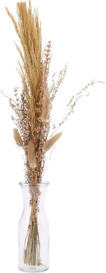 Pampasgras in Topfpflanze 57cm in Yala Harvest