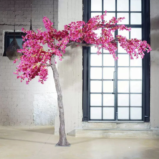Bougainvillea Outdoor Tree Fuchsia Bougainvillea Outdoor Tree Fuchsia