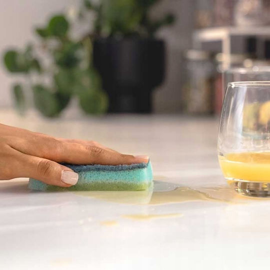 Vileda Clean Set Bureți 2 Bucăți