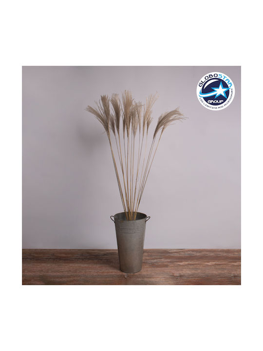 Globostar Miscanthus 36539 Dried Miscanthus Plant Bouquet of Decorative Beige Branches H140cm Set of 10 Pieces