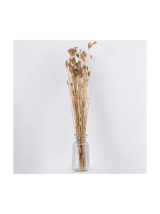 Globostar Wildcarrot 36547 Dried Wild Carrot Plant Bouquet of Decorative Beige Branches H80cm Set of 10 Pieces