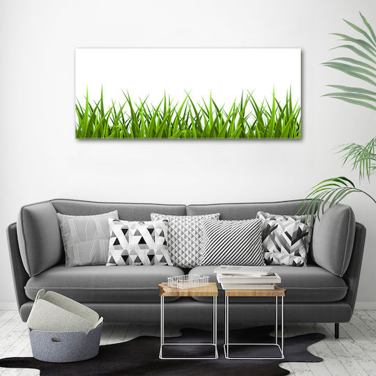 Panou De Perete Pânză Potrivit Pentru Decor Permanent Iarbă 125x50 Cm