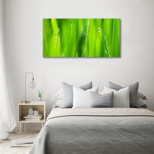 Panou De Perete Pânză Gata De Montare Tânăr Ovăz 140x70 Cm