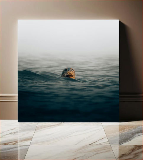 Seal In The Misty Sea Φώκια Στην Ομιχλώδη Θάλασσα 1 σε Καμβά Seal In The Misty Sea Φώκια Στην Ομιχλώδη Θάλασσα 1 σε Καμβά