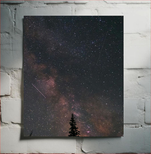 Nacht Himmel Mit Sternen Und Bäumen Auf Segeltuch