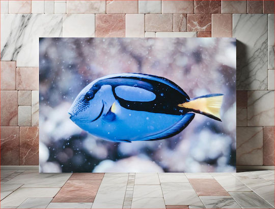Πίνακας Vibrant Blue Tang In Sea Ζωντανό Blue Tang Στη Θάλασσα 150x100 Πίνακας Vibrant Blue Tang In Sea Ζωντανό Blue Tang Στη Θάλασσα 150x100