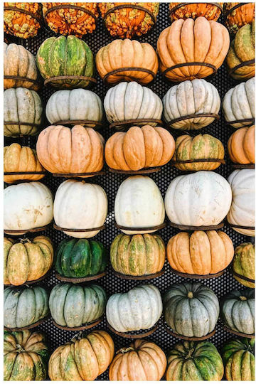 Панел Colorful Pumpkin Display Многоцветен Дисплей Тиква 70x100