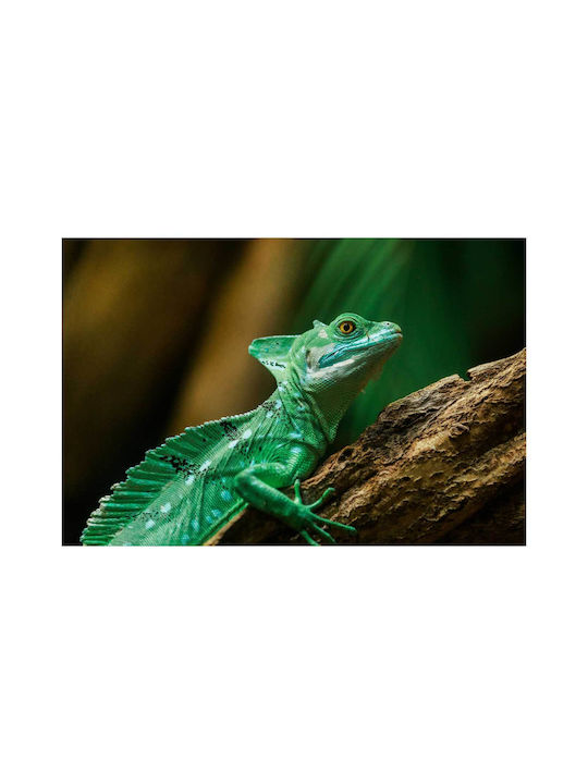 Painting Colorful Lizard In Its Natural Habitat Multicolored Lizard In Natural Environment 100x70